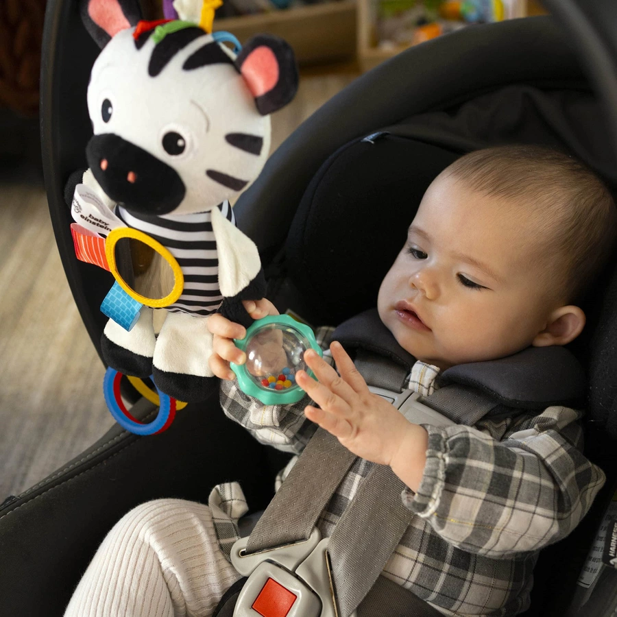Baby Einstein Zen's Sensory Play™ Plüsch Aktivitätstier
