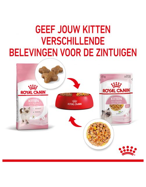 Royal Canin Kitten In Jelly - Kitten-Kattenvoer - 85 g Natvoer