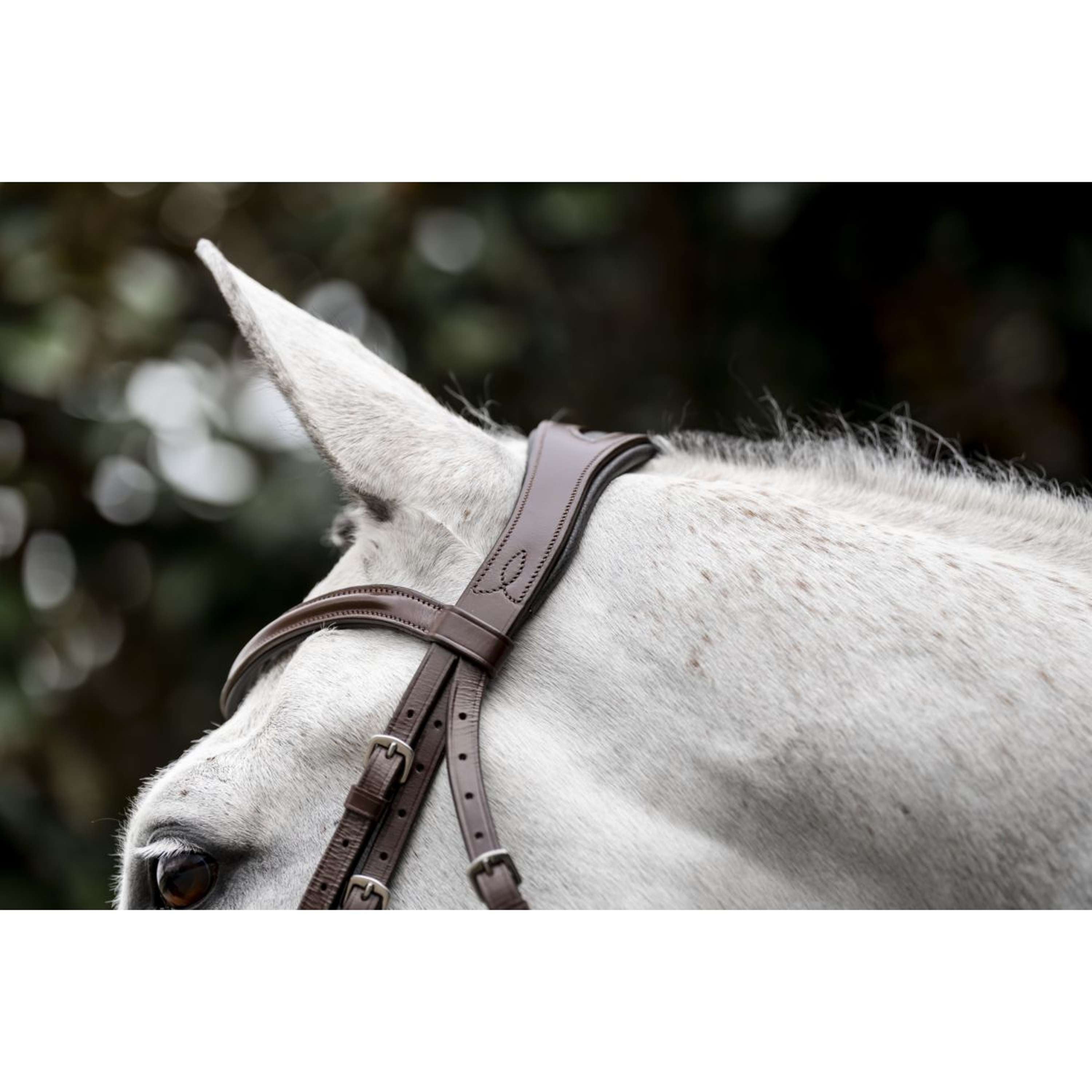 Horseware Hoofdstel Cavesson Bruin