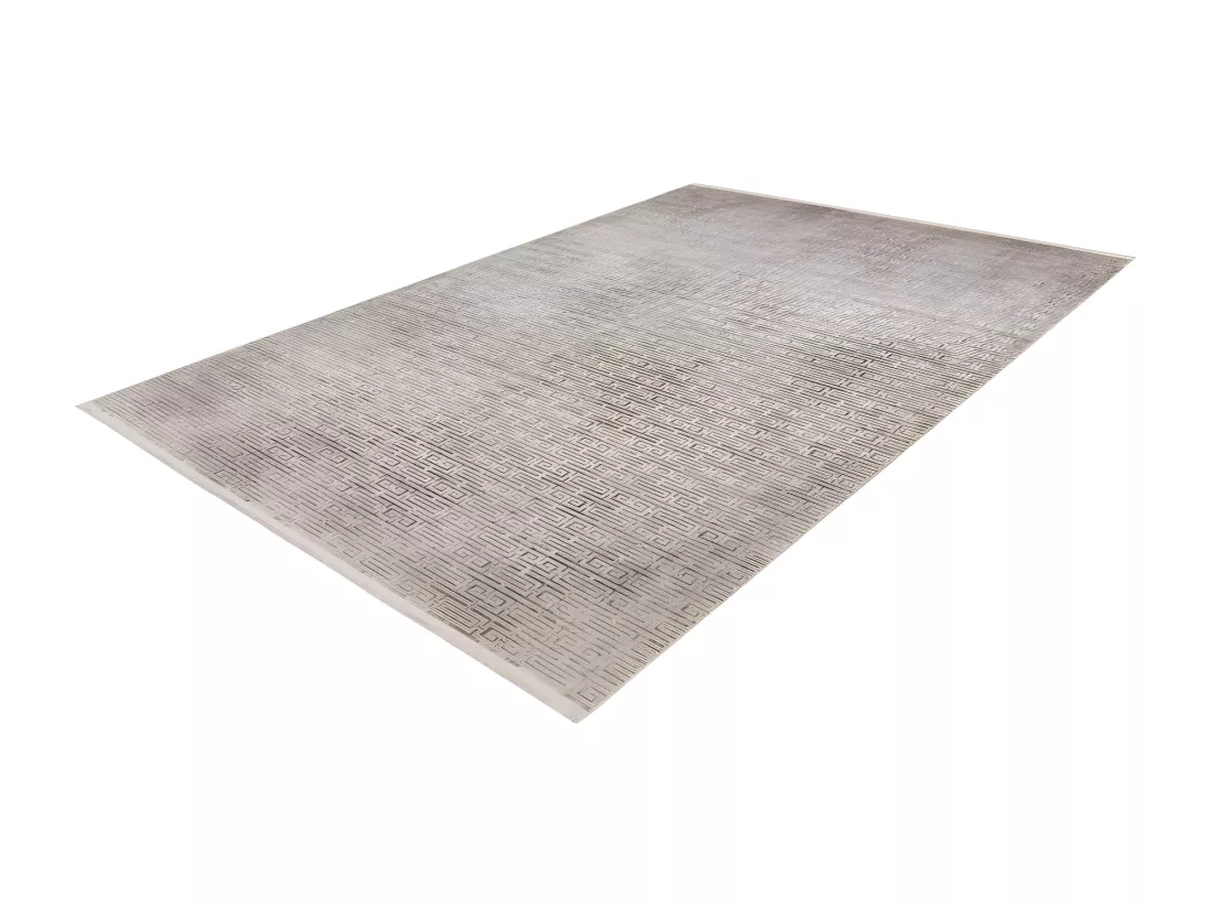 Tapis Pierre Cardin 170x120cm, design E209E coloris argent - Confort et élégance pour votre intérieur