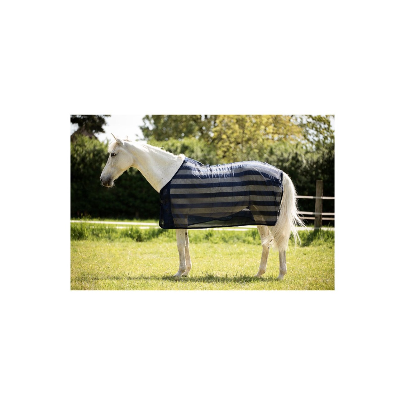 4Horses Fliegendecke Bari 1,45 m