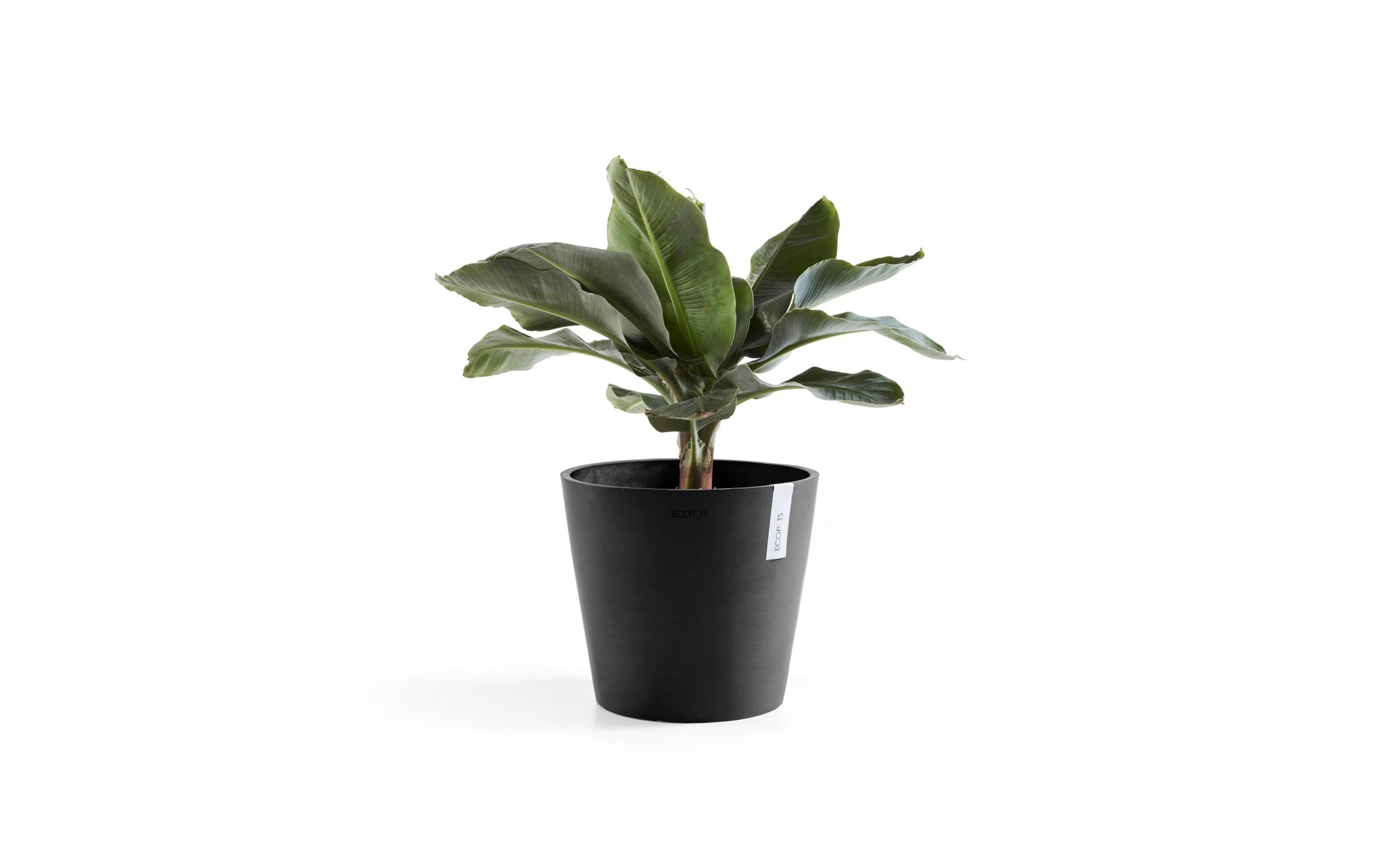 ECOPOTS Pflanzkübel »Amsterdam 40«