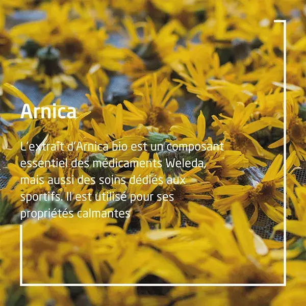 Banho de recuperação esportiva Weleda Arnica 200ml