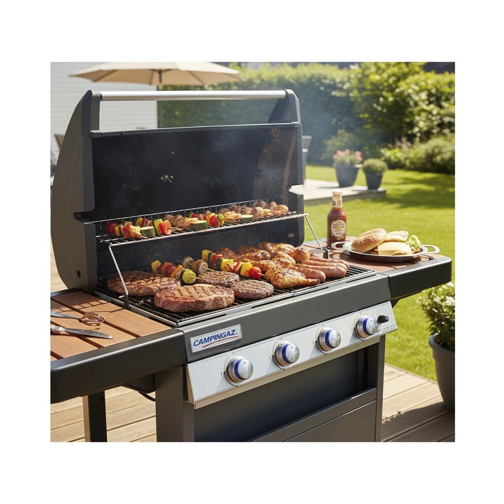 CAMPINGAZ Gasgrill BBQ 4 Series WLD (CH)