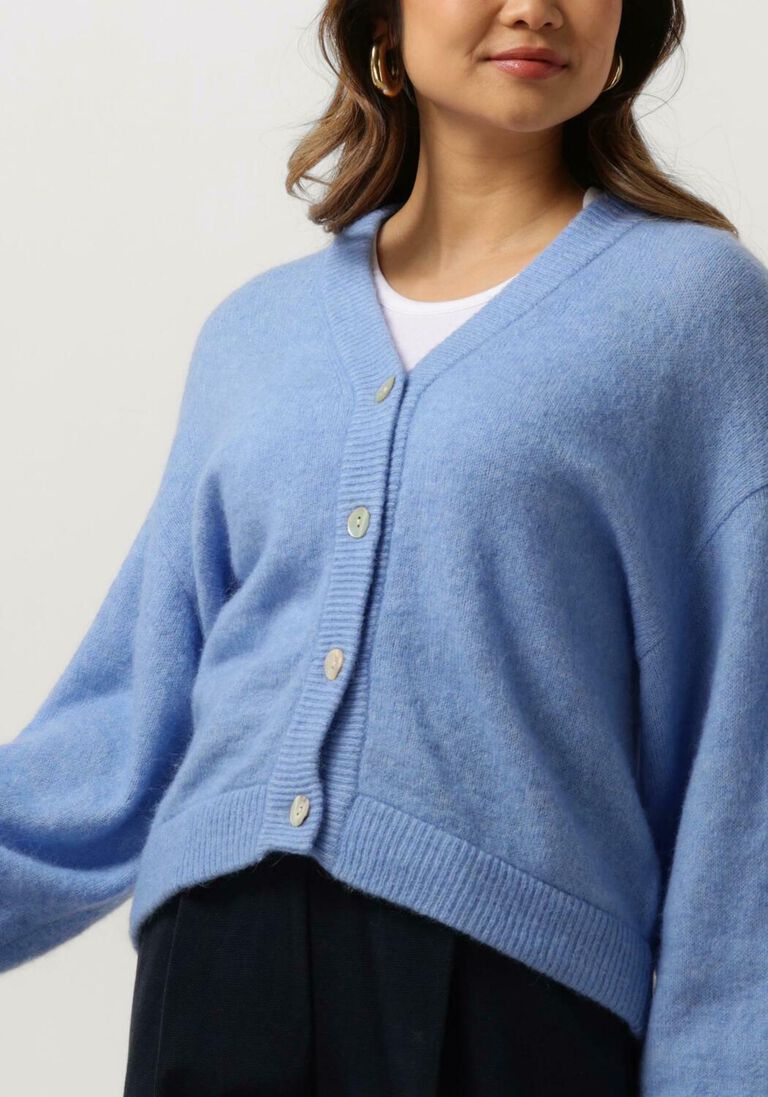 MSCH COPENHAGEN blauwe msch copenhagen trui mschpetrinelle hope cardigan