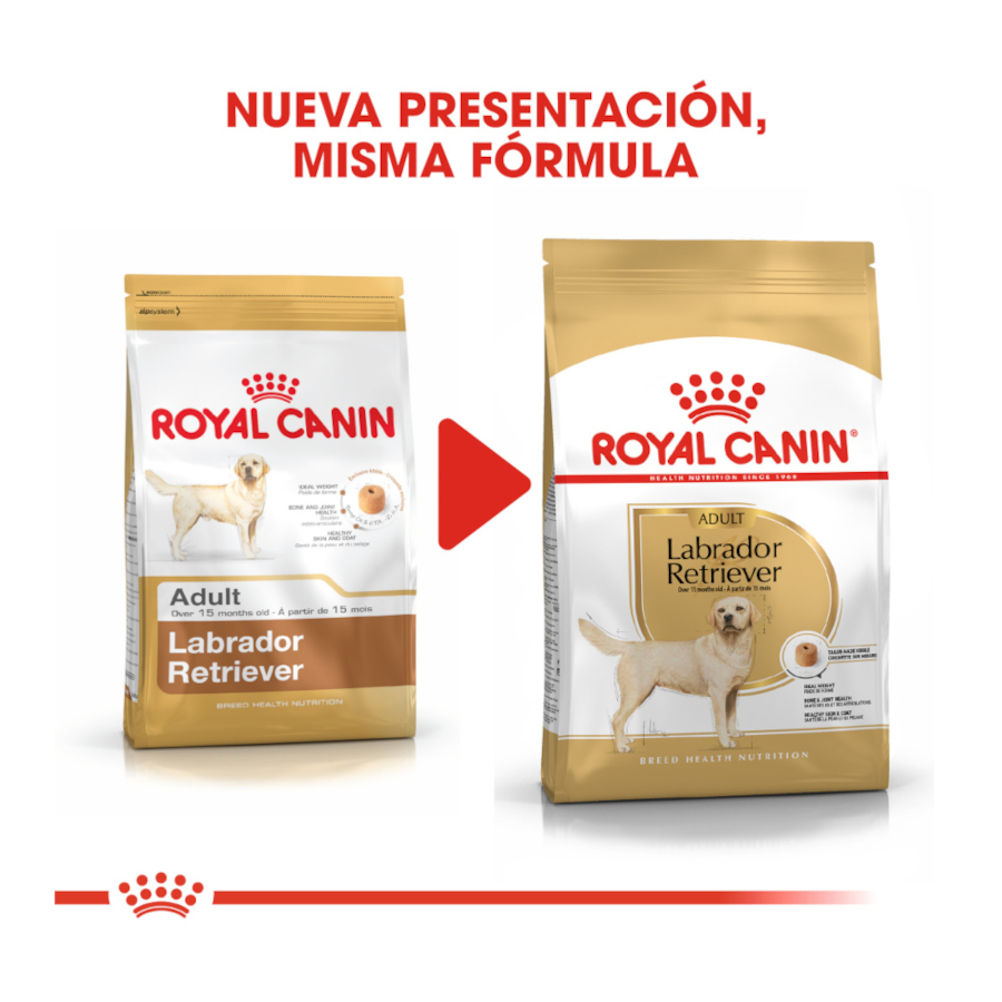 Ração Royal Canin Adult para cães da raça Labrador Retriever