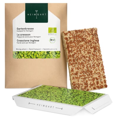 Microgreens Bio-Saatpad, Gartenkresse
