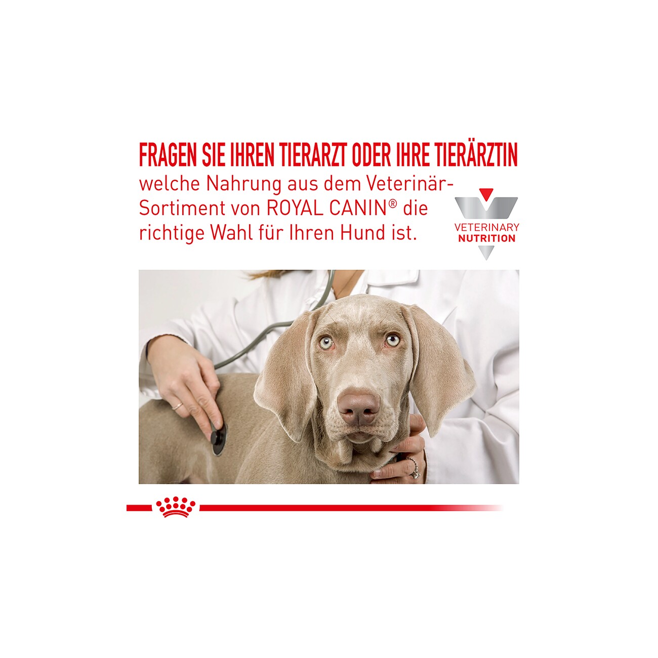 ROYAL CANIN Veterinary Sensitivity Control 1,5 kg