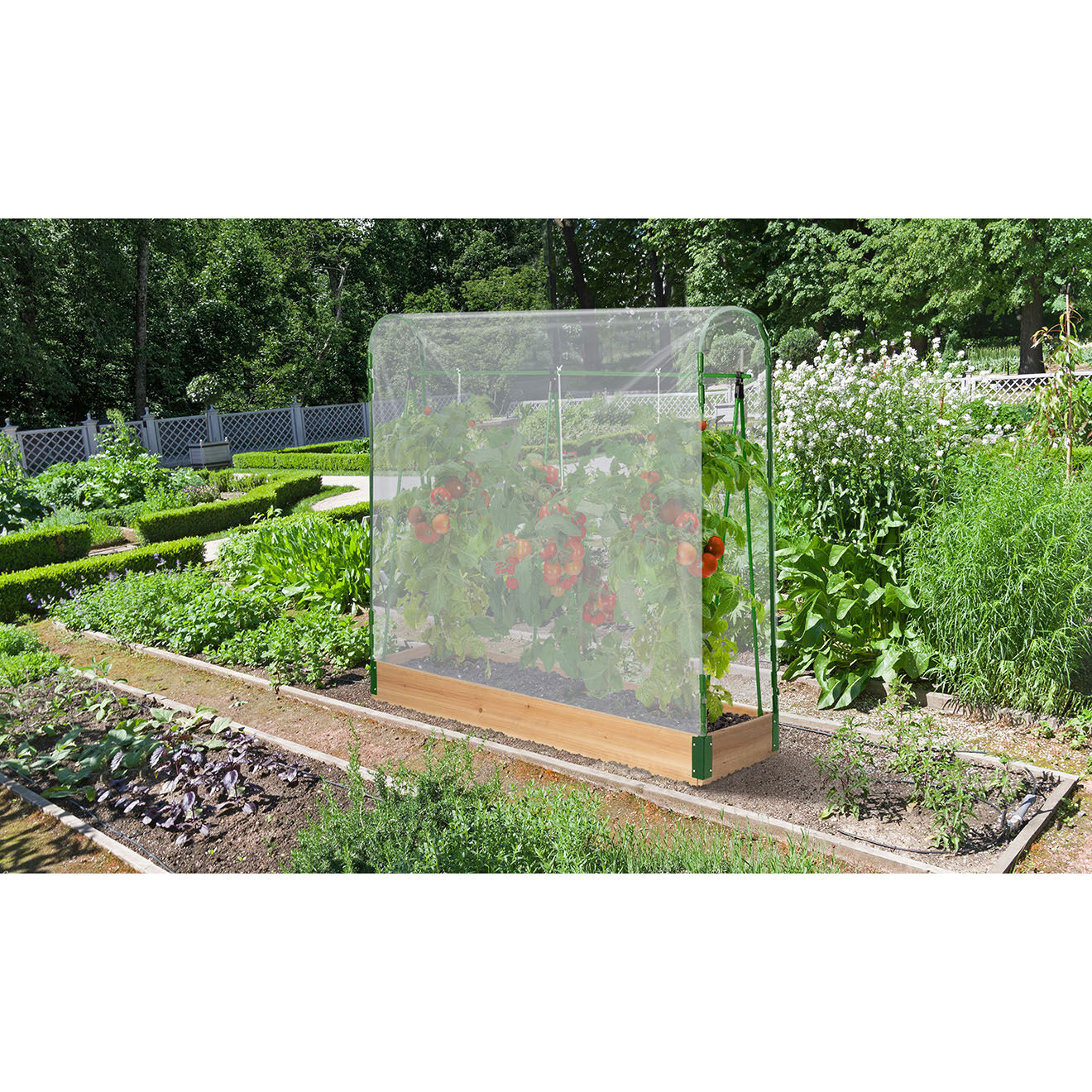 Pratik Garden Serre potager tomates bois/vert - 120x30x120 cm
