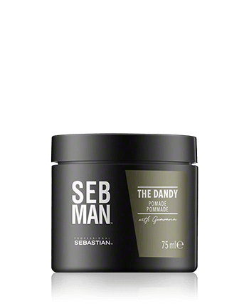 Sebastian Professional Seb Man The Dandy Pommade 75ml