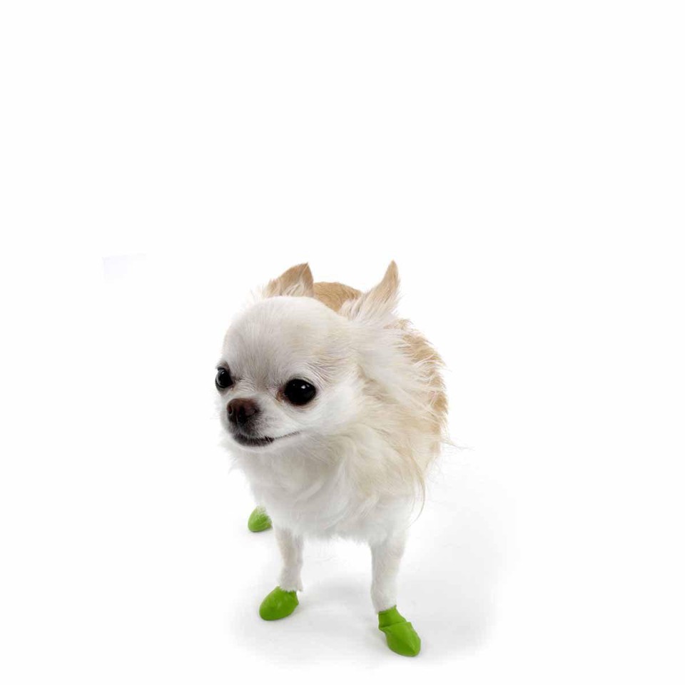 PAWZ - Hundesko Tiny - Æblegrøn