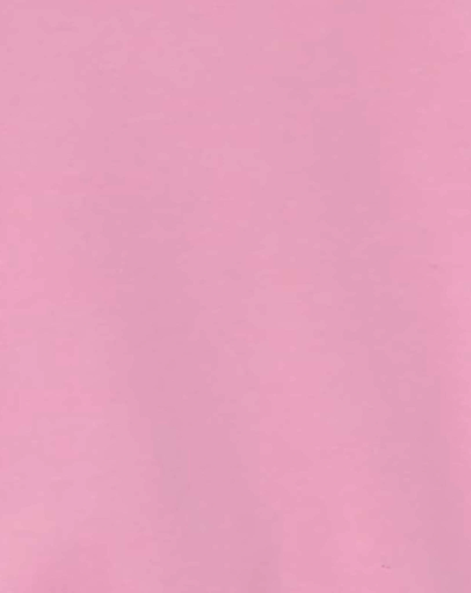 Sweatshirt NBFDIAMIN CAT in cashmere rose