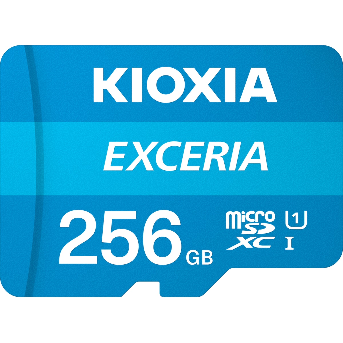 Kioxia Exceria 256GB minnekort