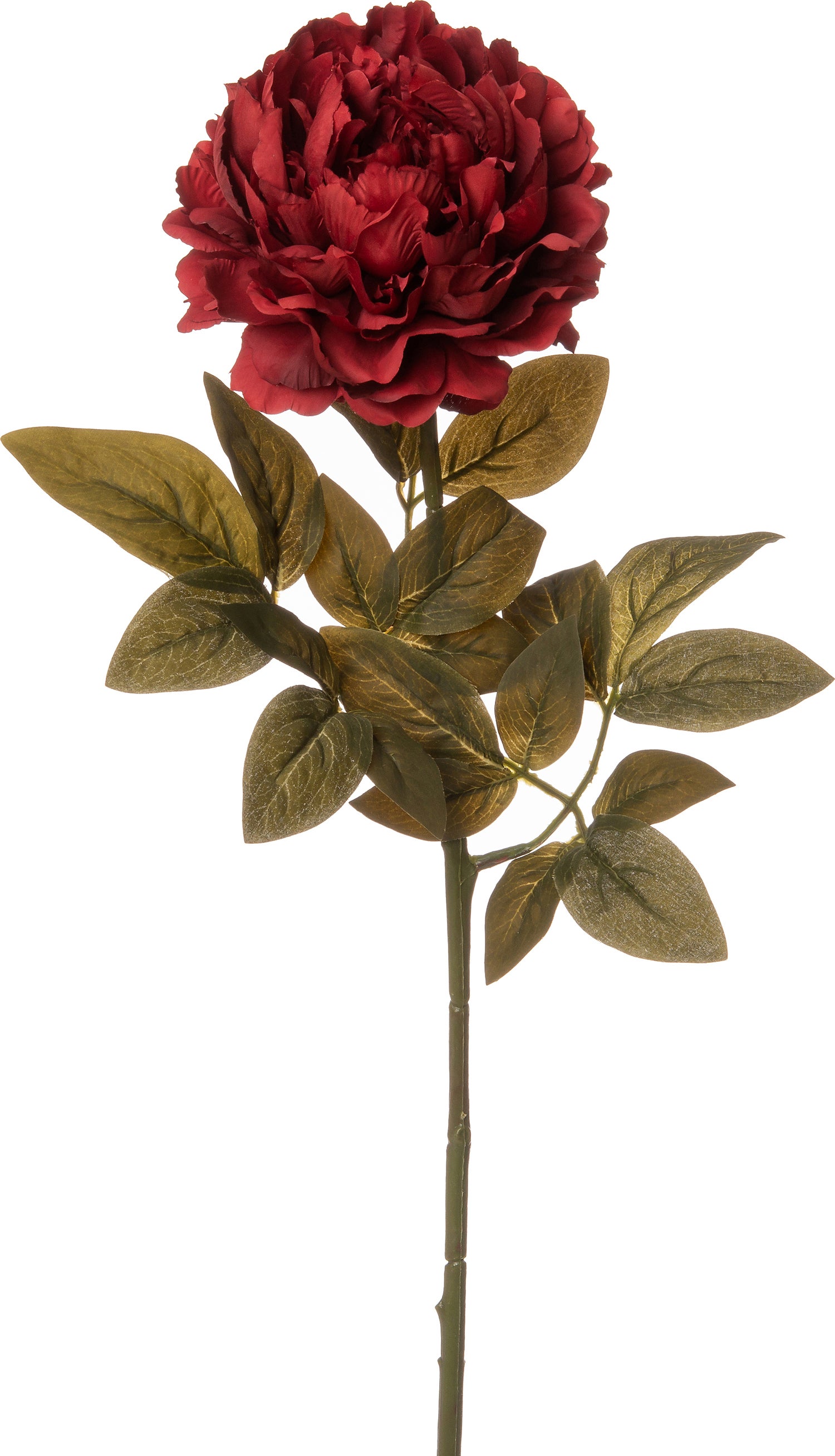 Intratuin kunstbloem Pioen 68 cm rood