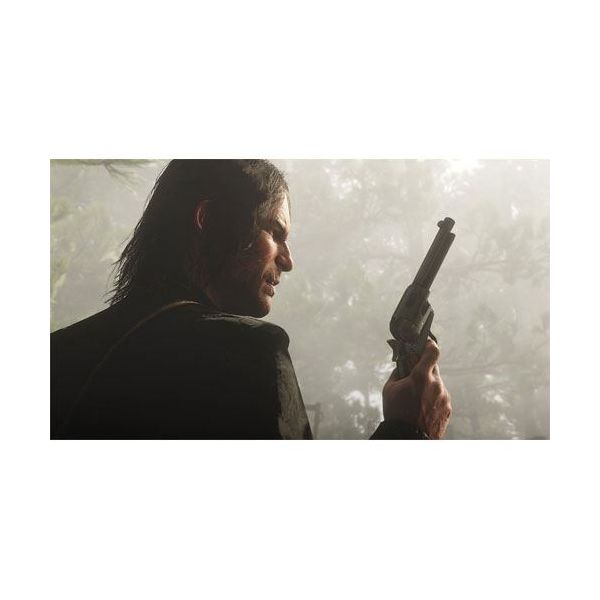 Red Dead Redemption 2 PS4