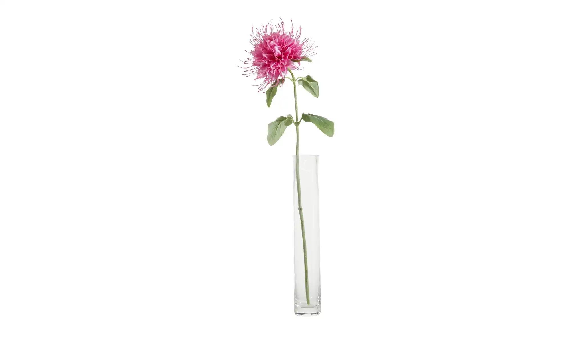 HOME STORY Kunstblume Monarda