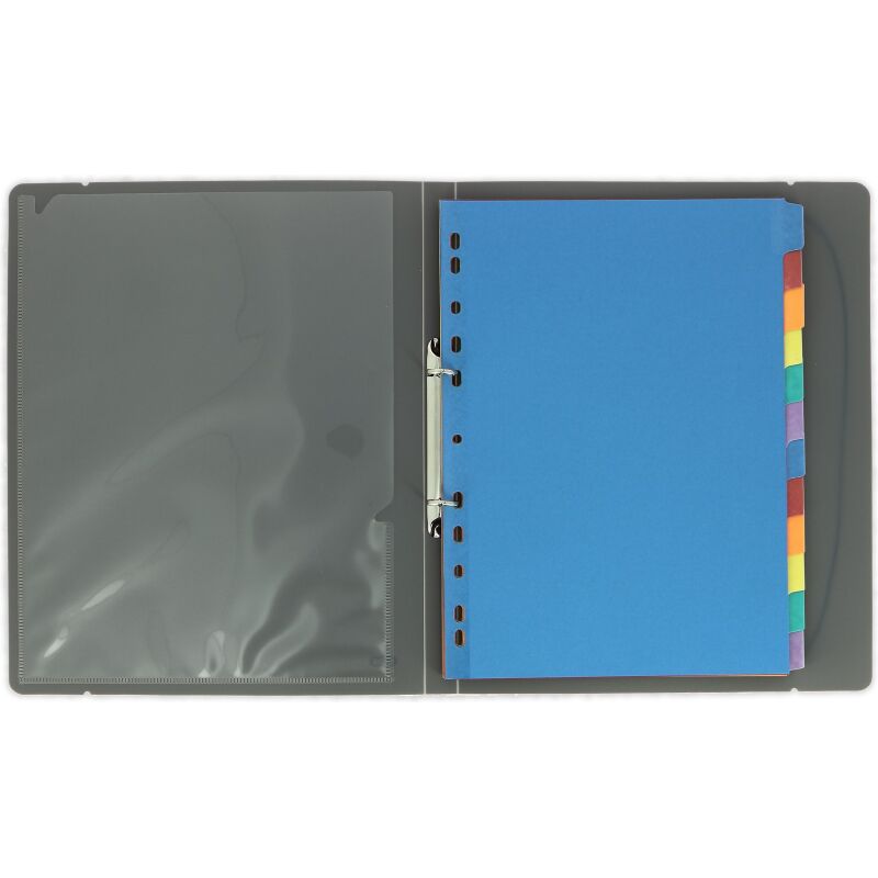 Intercalaires neutres A4 12 positions mylar colore 225g assorti