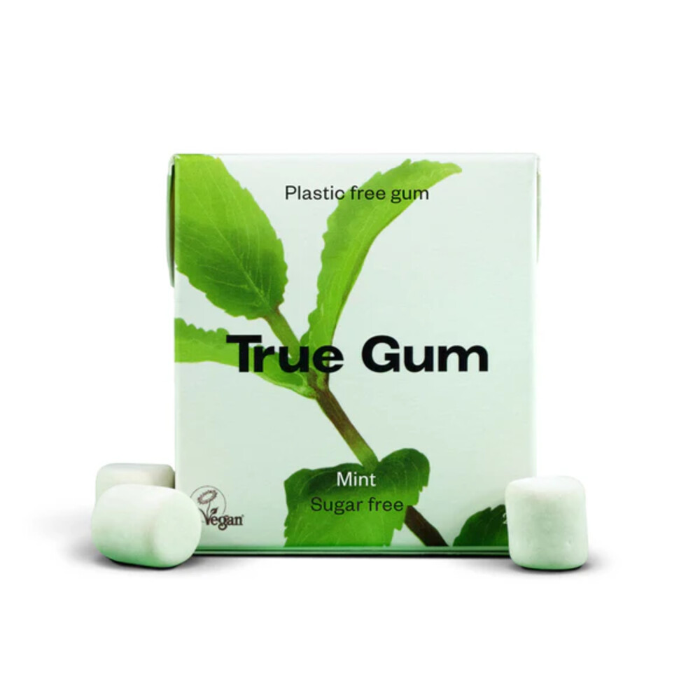 24x True Gum Mint 21 gr