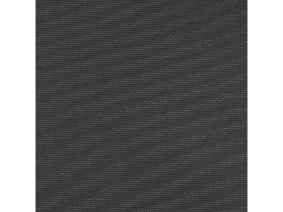 Auvent latéral rétractable noir 100x500 cm