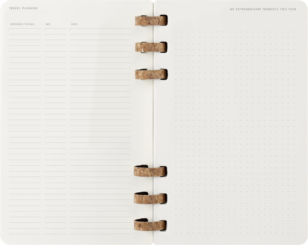 Life Planner 2025 L 12-Month, Spiral