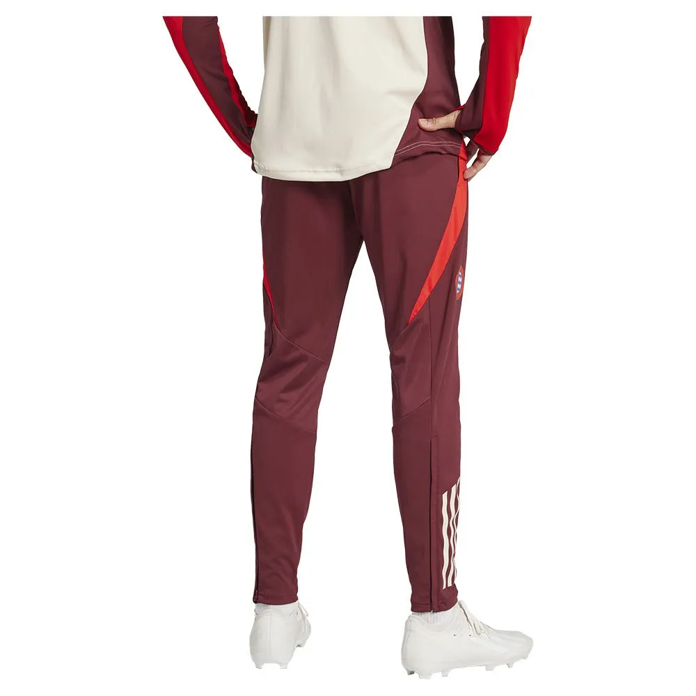 adidas FC Bayern Munich 24/25 Trainingshose
