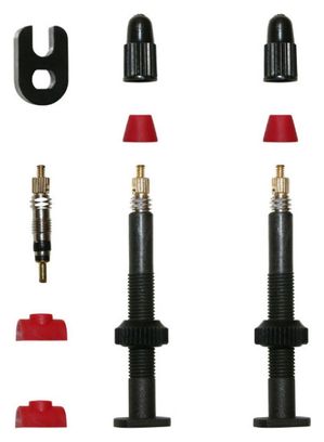 Paire de valve de pneu tubeless P2R Presta