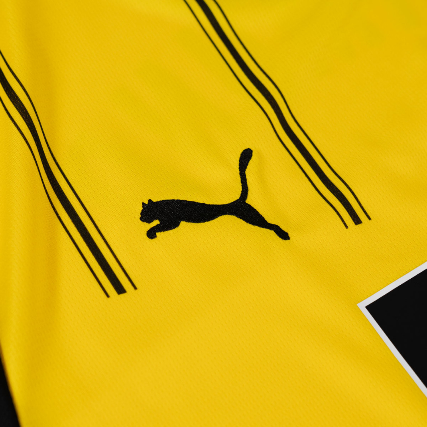 PUMA Borussia Dortmund Thuistenue 2024-2025