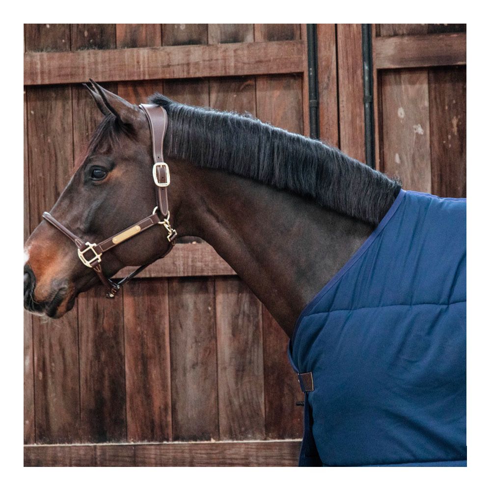 Kentucky CLASSIC 100G - Sous-couverture navy