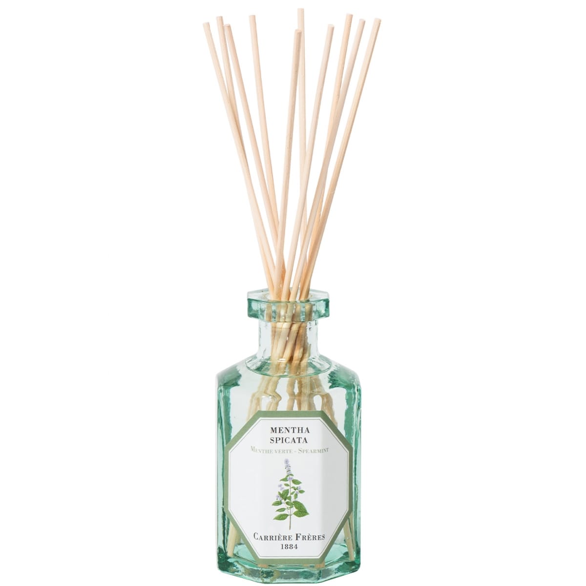 CARRIÈRE FRÈRES Menthe Verte - Mentha Spicata Diffuseur de Parfum