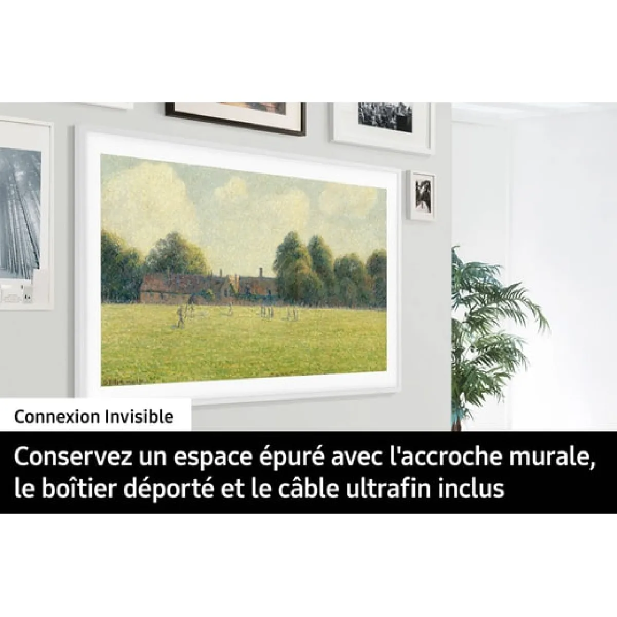 Samsung TQ85LS03D