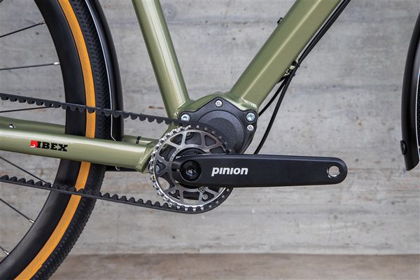 DAILY QUEST Pinion City- und Alltagsvelo  grün  48 CM