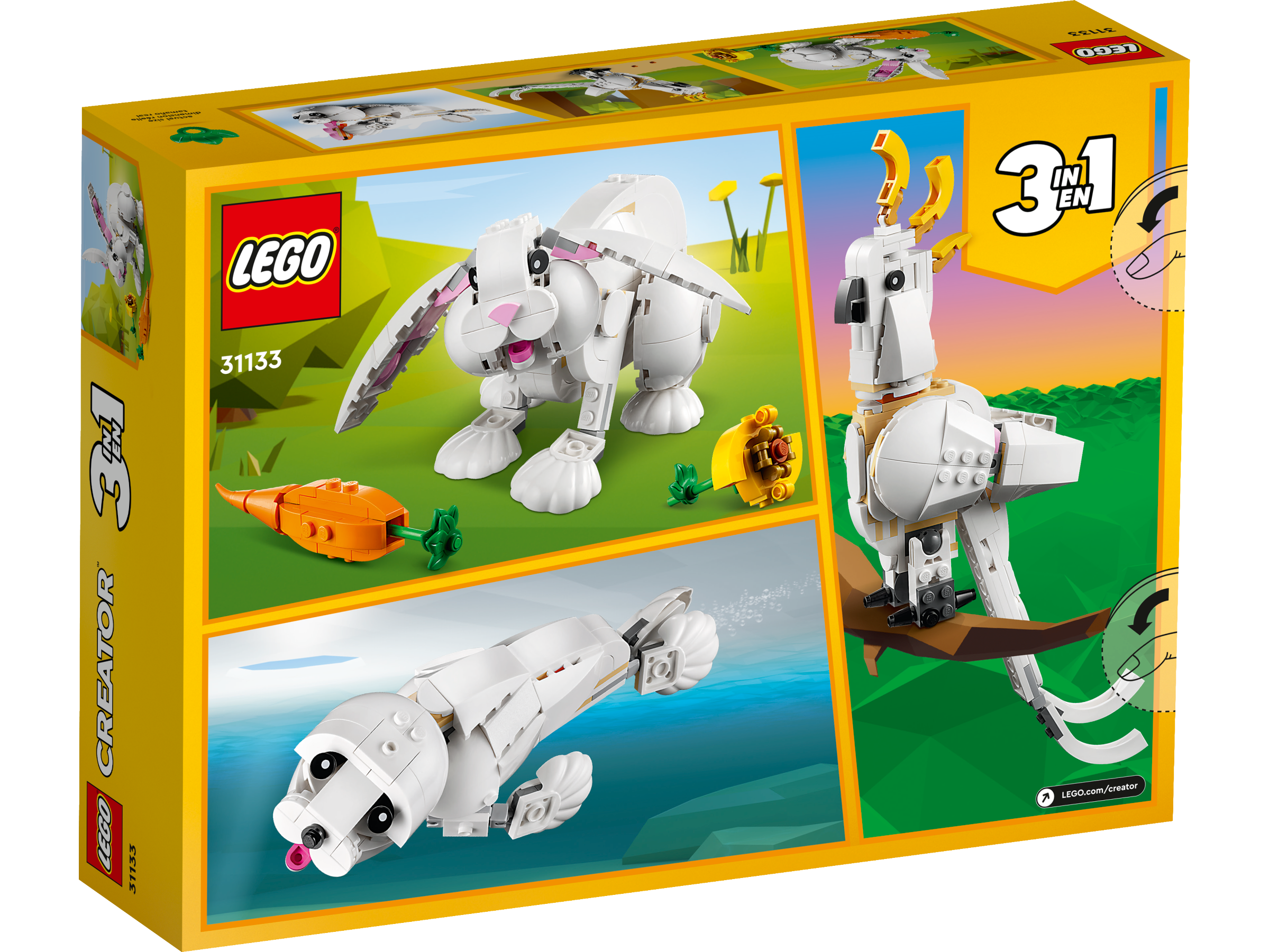 Coelho Branco 31133