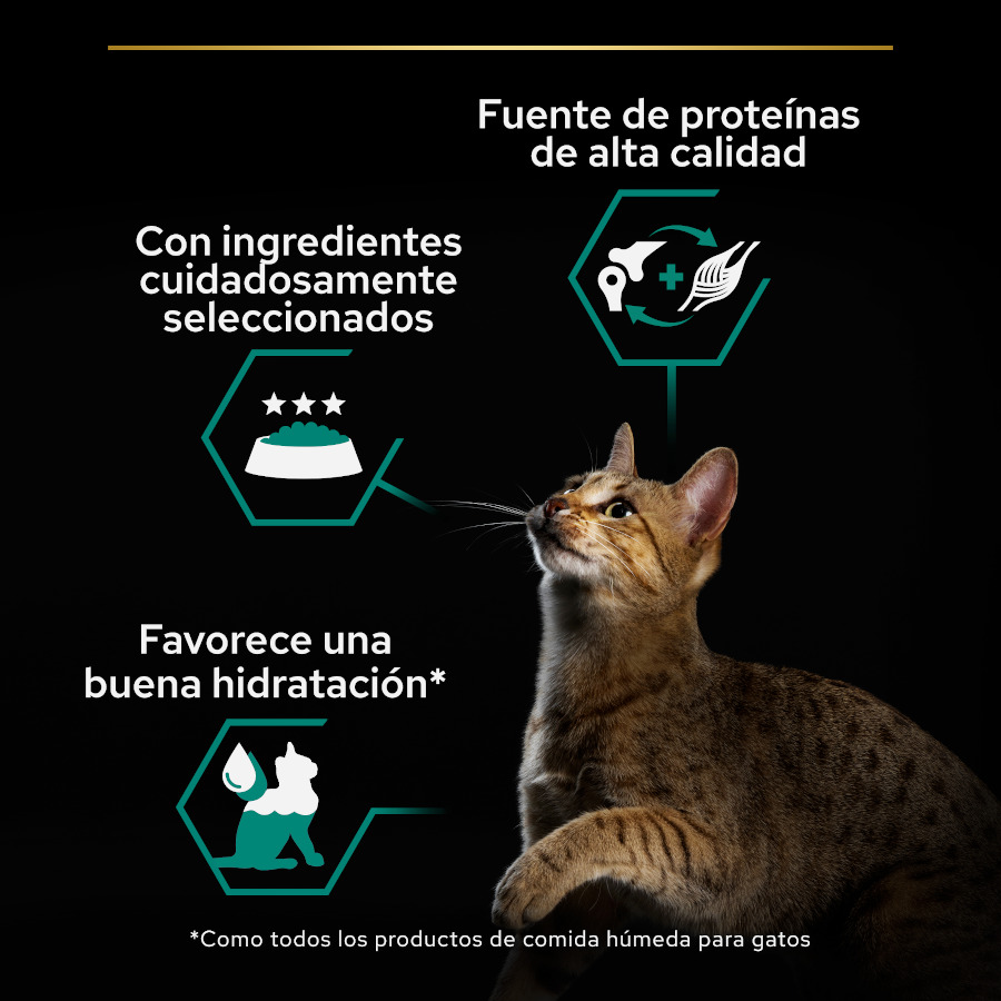 Terrine Pro Plan Adult Maintenance rica em frango para gatos