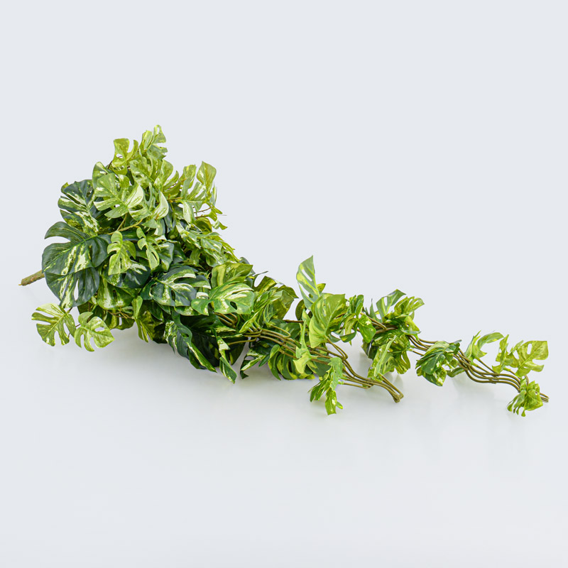 Chute de philo vert et blanc