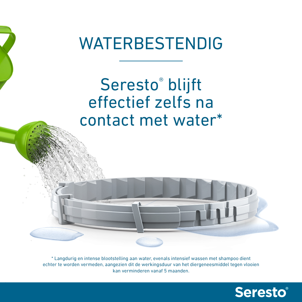 Seresto Kat
