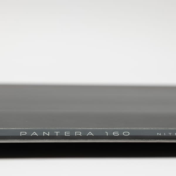 Planche de snowboard NITRO PANTERA