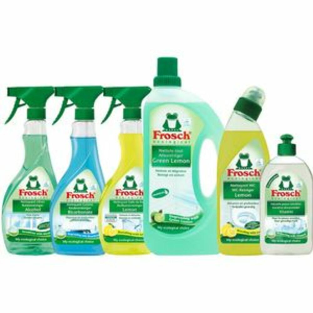 Frosch Ruitenreiniger Spray met Alcohol500 ml