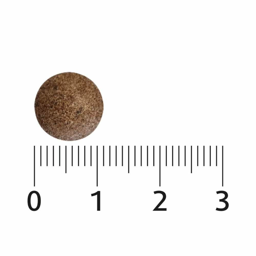 Lucovitaal Maca & Shilajit Puur 60 tabletten