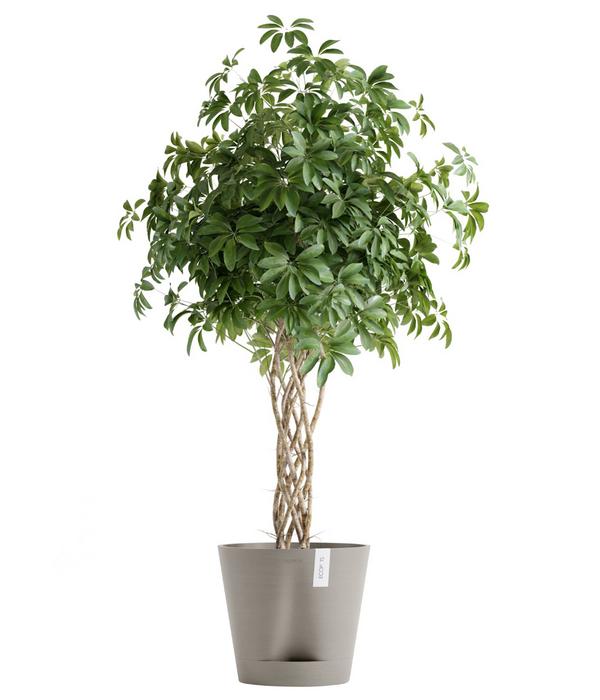 Ecopots Kunststoff-Topf Venice 2, rund