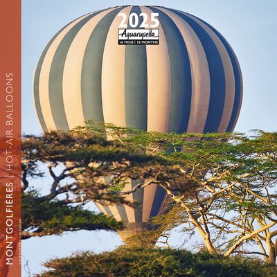 Calendrier mensuel 30x30 cm - 16 mois - Montgolfières