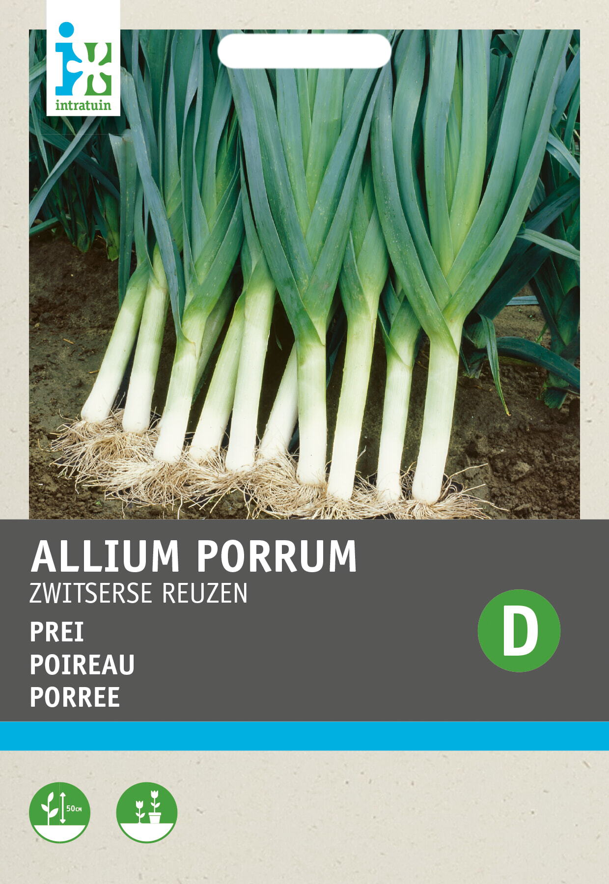 Intratuin groentezaad Prei (Allium porrum 'Zwitserse Reuzen')