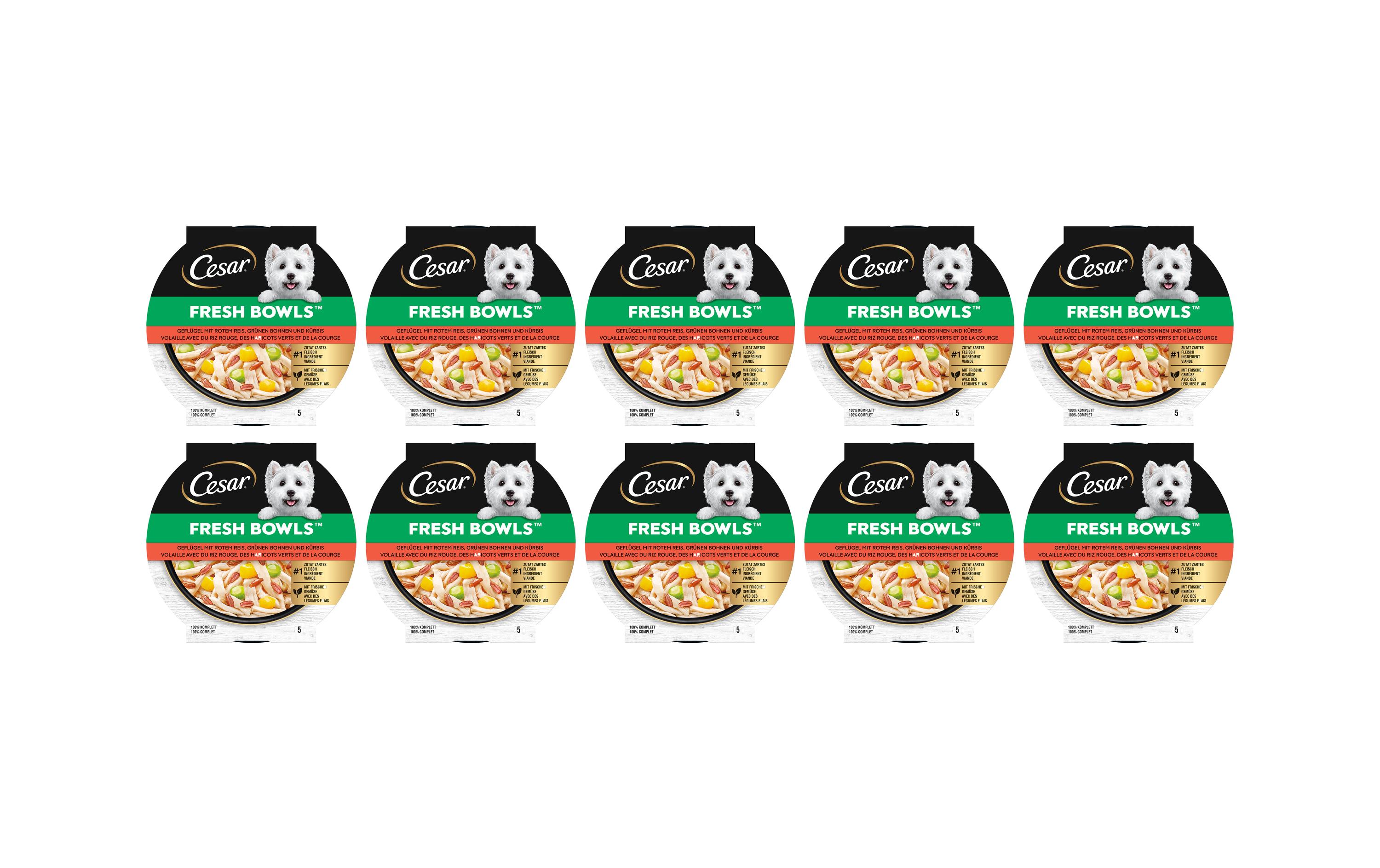 Nassfutter Fresh Bowls Huhn, Karotten 10 x 85 gFrische Mahlzeit mit zartem Huhn und knackigen Karotten