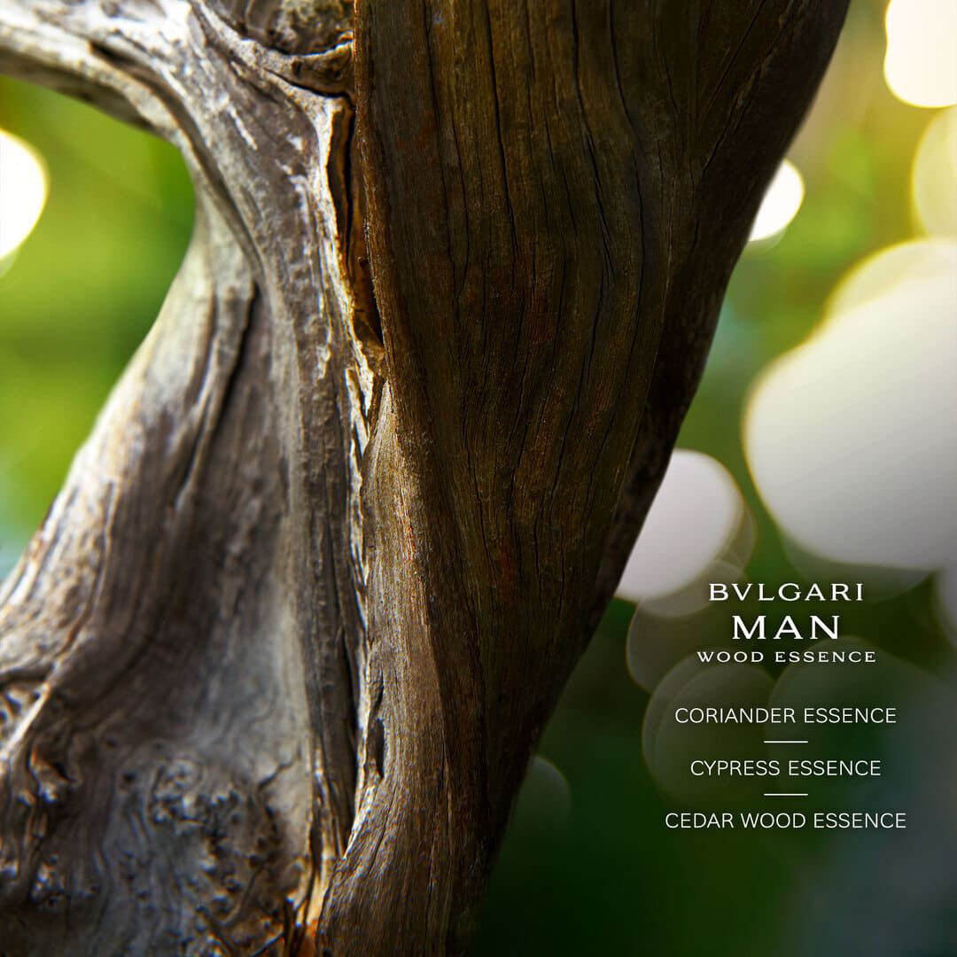 BVLGARI BVLGARI MAN Wood Essence Eau de Parfum (Recarregável) - 150ml