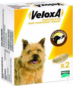 Veloxa Chien 2 Comprimés À Croquer