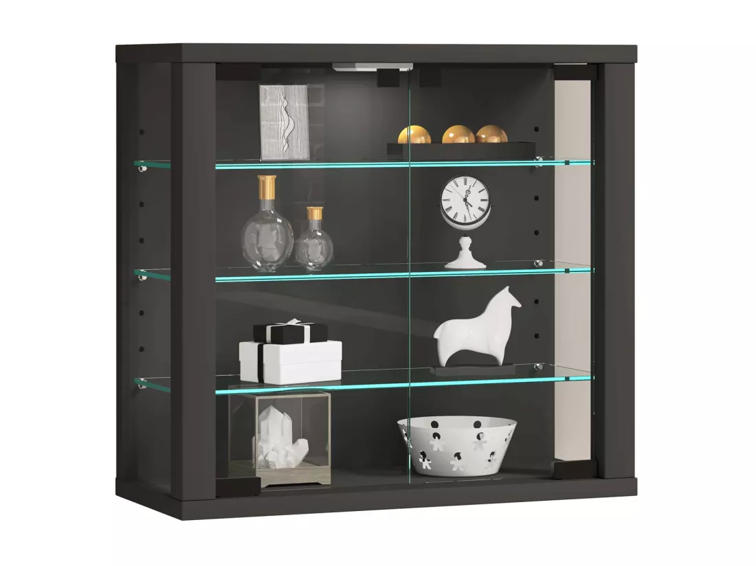 Vitrine murale Vitrosa S