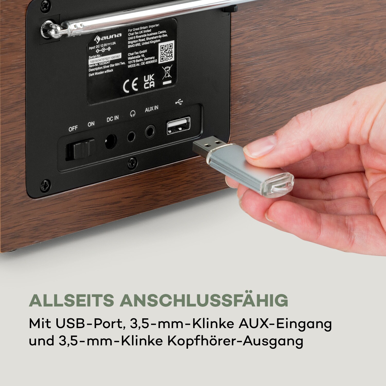 Silver Star Mini Two Internet DAB+/FM Radio, WiFi, BT, TWS Speaker Silber/Schwarz