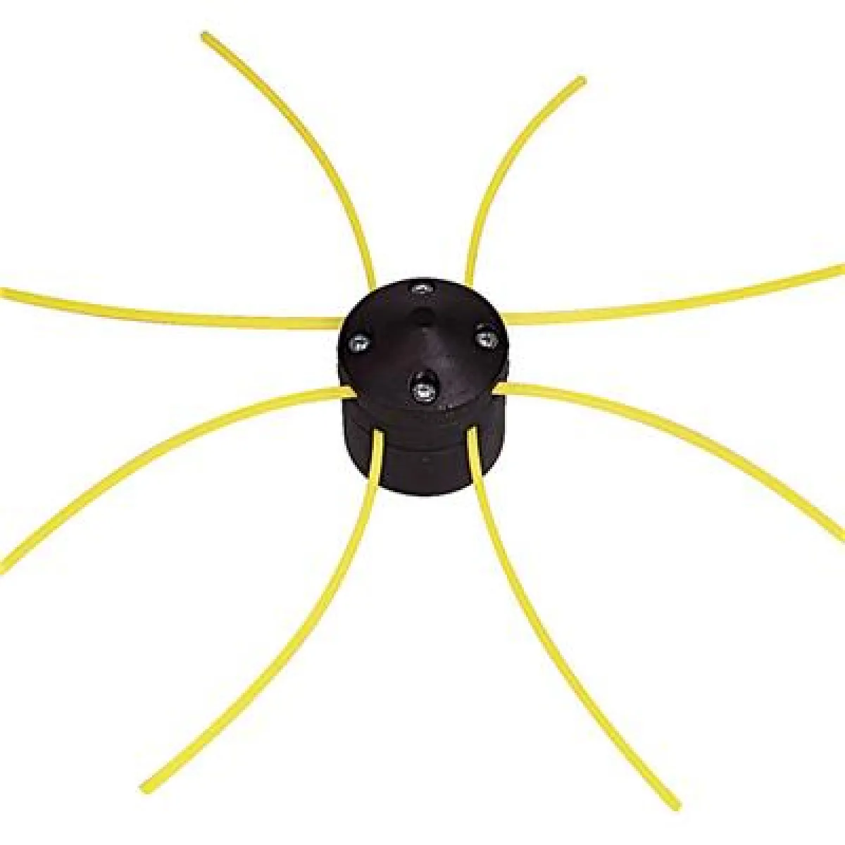 Ribimex Universelle