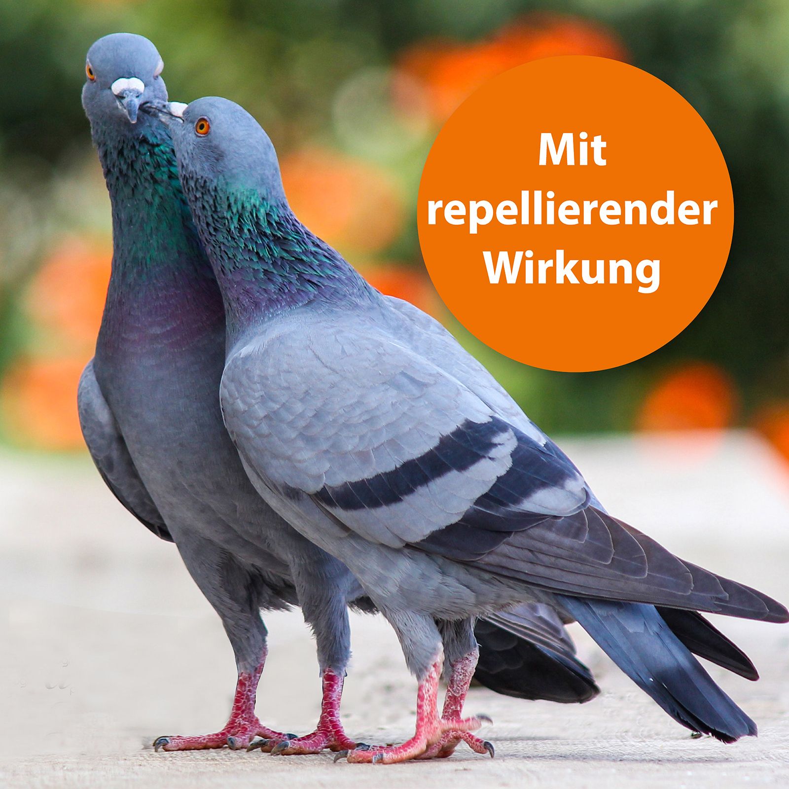 ARDAP Spot-on für Vögel