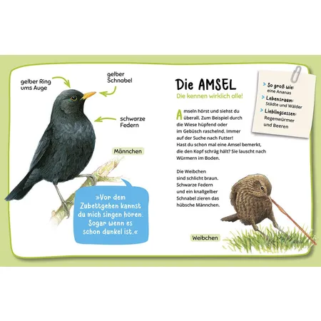 KOSMOS Mein erster Naturführer - Was fliegt denn da?
