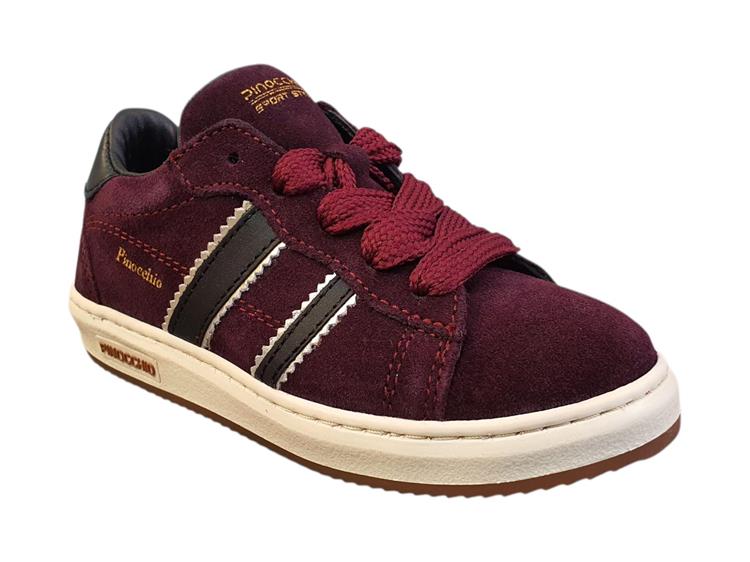 Pinocchio P1102 bordo
